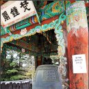 금촌 가나무로 중국단풍나무길 | 주마간사 (走馬看寺) 사찰기행 보광사 대웅전 벽화