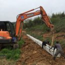 순창금산흑염소농장 이미지