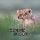 차차캠핑 이미지