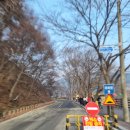 공산성 횡단보도 옆 | 공주 마곡사와 공주 공산성 걷기여행 후기