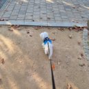 이화공원 화장실 이미지