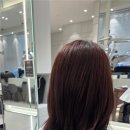 엔젤카크리닉 이미지