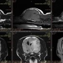 개금동물병원 이미지