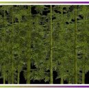 세탁하다 | 커튼 세탁하다 망한 날 웃을 수밖에 없었던 이유