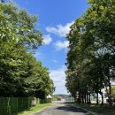 펀오토워시 | 파주 캠핑장 해브펀 캠핑어라운드 명당자리 D5 후기