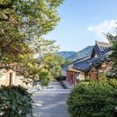 명상 - 자연 이미지