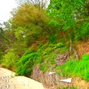 울진부동산공인중개사사무소 이미지