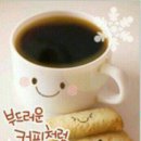 예쁜여우 이미지