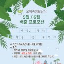 주식회사 여행천국 이미지