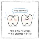 바른연합치과 이미지