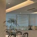 팽브로우 이미지