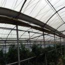 월파농장 이미지