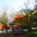 국립회문산자연휴양림 이미지