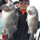 우럭농장 이미지