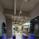 피티인거여 | 내포 피티 제대로 받으려면 여기, 베네피트니스 후기