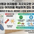 독산메디칼약국 이미지