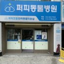 퍼피엔젤 반려동물 미용실 이미지