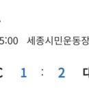 세종시민운동장 보조구장 이미지