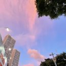 부산더덕삼겹살 이미지