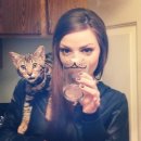 냥이시대 이미지