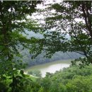 섭이농장 이미지