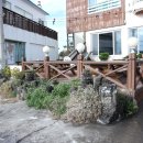 국수앤백사장회센터 | 표선해수욕장맛집-국수앤백사장회센터 흑돼지고기국수 등 솔직후기