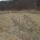 문산읍-2 이미지