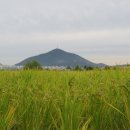 부천둘레길4코스 이미지