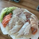 서울 가락시장 회센터 형제상회 가락몰지점에서 모듬회 먹고 온 솔직후기(가격, 상차림비, 가는 법)