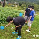 상운초등학교 이미지