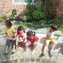 다솜이 야영장 이미지