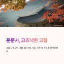 싱그러운청도로(가을) 이미지