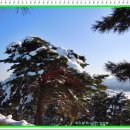 구정면사무소 버스정류장 이미지