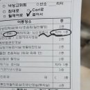 경진카써비스 | 사람의 슬개골 탈구 수술 후기(MPFL재건술)