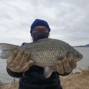 항포낚시터 이미지