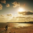 천수만농장 이미지