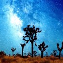 버거팜스 이미지