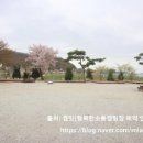 행복한 체험 캠핑장 이미지