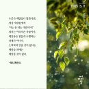 디스이즈잇 이미지