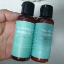 펫지살롱 이미지