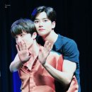 하도 로운이네 이미지