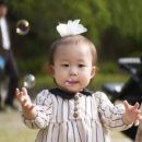 구갈레스피아_M 이미지