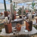 농업기술센터(농업전시관) 이미지