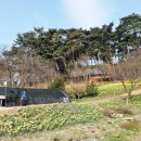 개나리목장 이미지