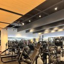 싸피엔스 짐 이미지