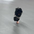 말랑말랑 이미지