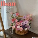 로지마이포지 | 일산 정발산 꽃집 - 로지 마이포지 후기 (feat.환갑 꽃바구니)