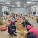 신선유통 이미지