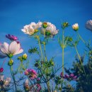 맘편한산부인과의원 이미지