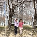 해솔누리 이미지